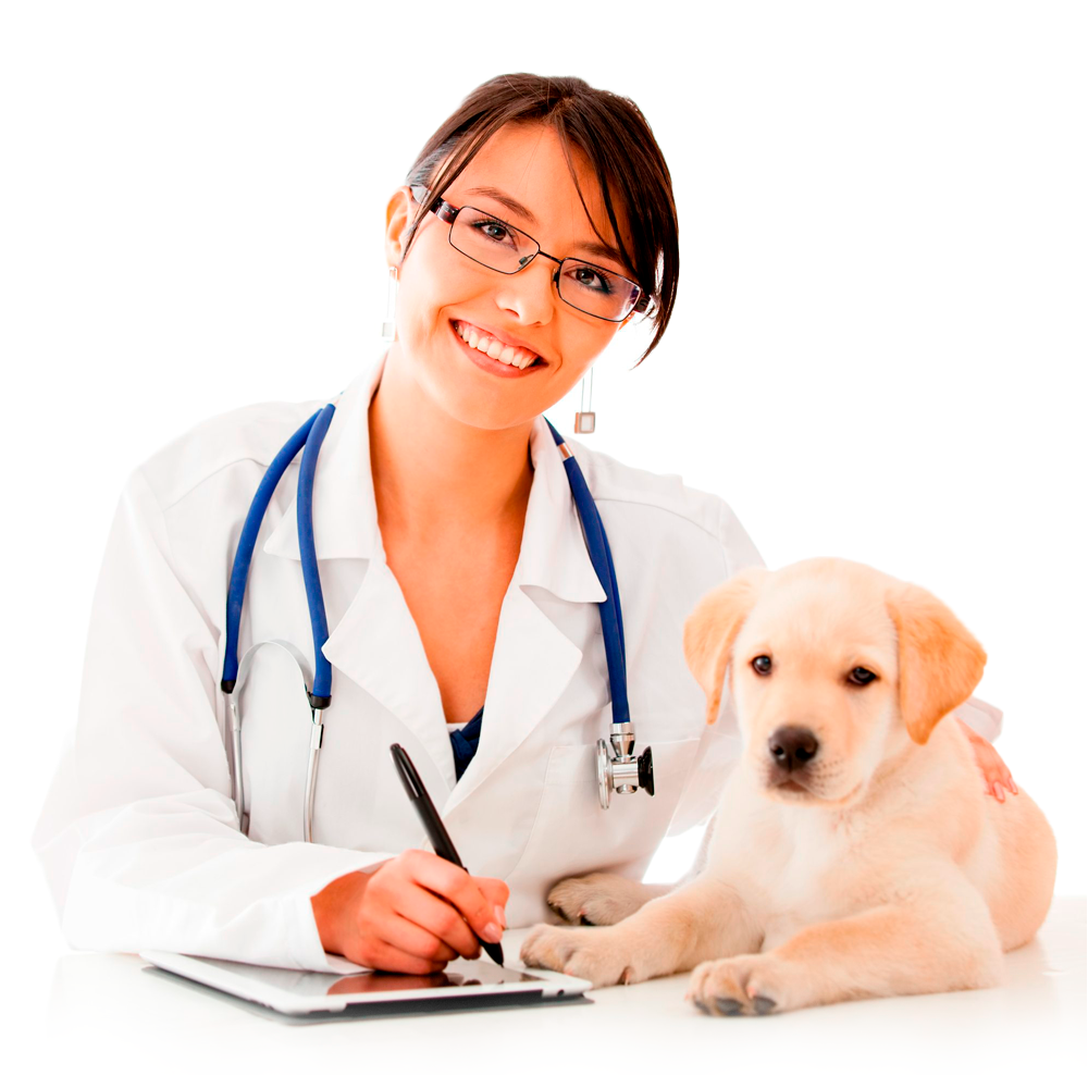MÉDICA VETERINÁRIA E CÃO