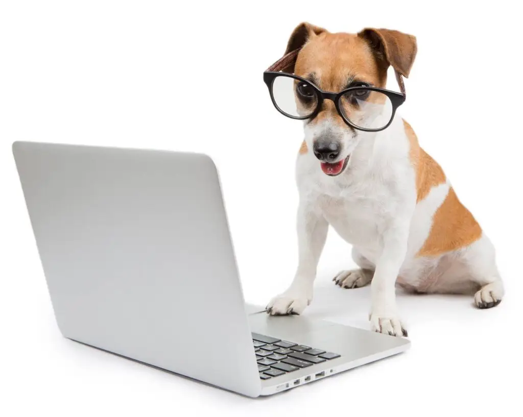 CAO-LAPTOP